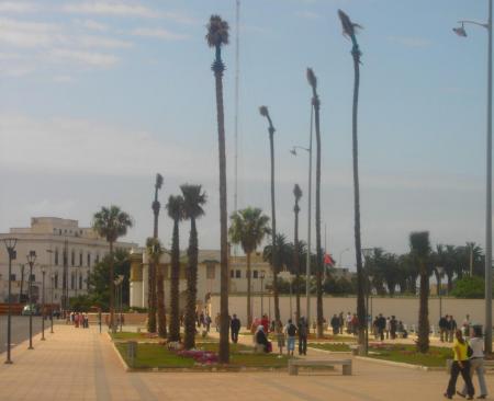 Jdida City